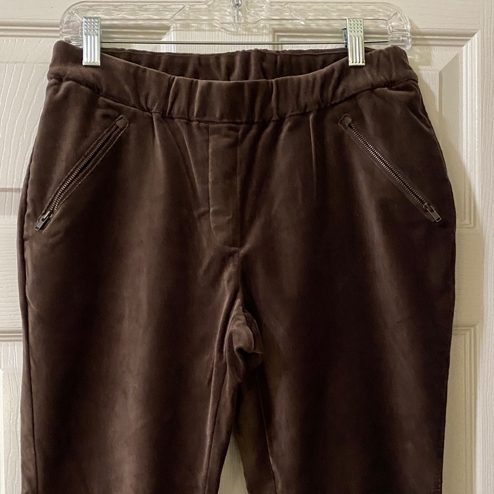 Garnet Hill Rich Brown Velveteen Trousers
